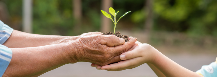 Consejos para reducir tu impacto ambiental