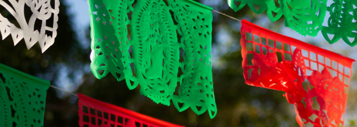 ¡Así se siente INDO!